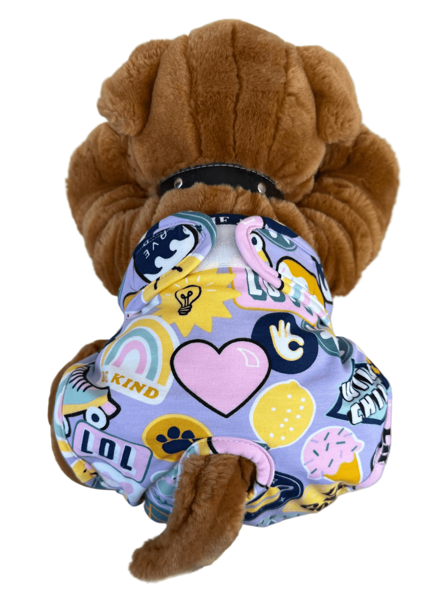 🐾 Culotte lavable et réutilisable pour chien - Miss Nuts Accessoires