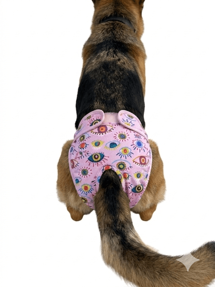 🐾 Culotte lavable et réutilisable pour chien - Miss Nuts Accessoires