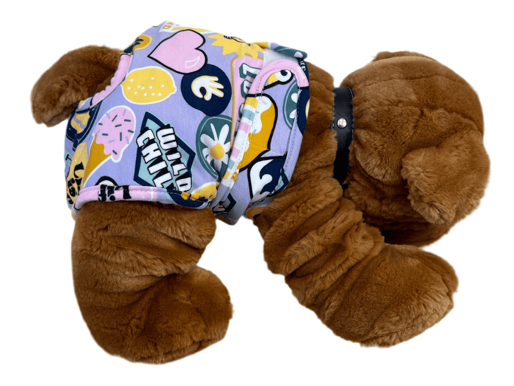 🐾 Culotte lavable et réutilisable pour chien - Miss Nuts Accessoires