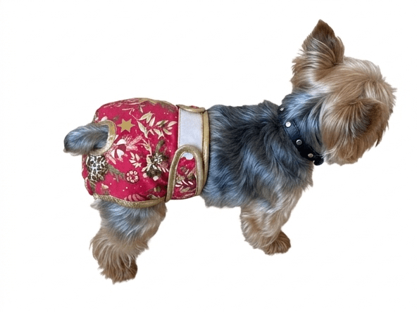 🐾 Culotte lavable et réutilisable pour chien - Miss Nuts Accessoires