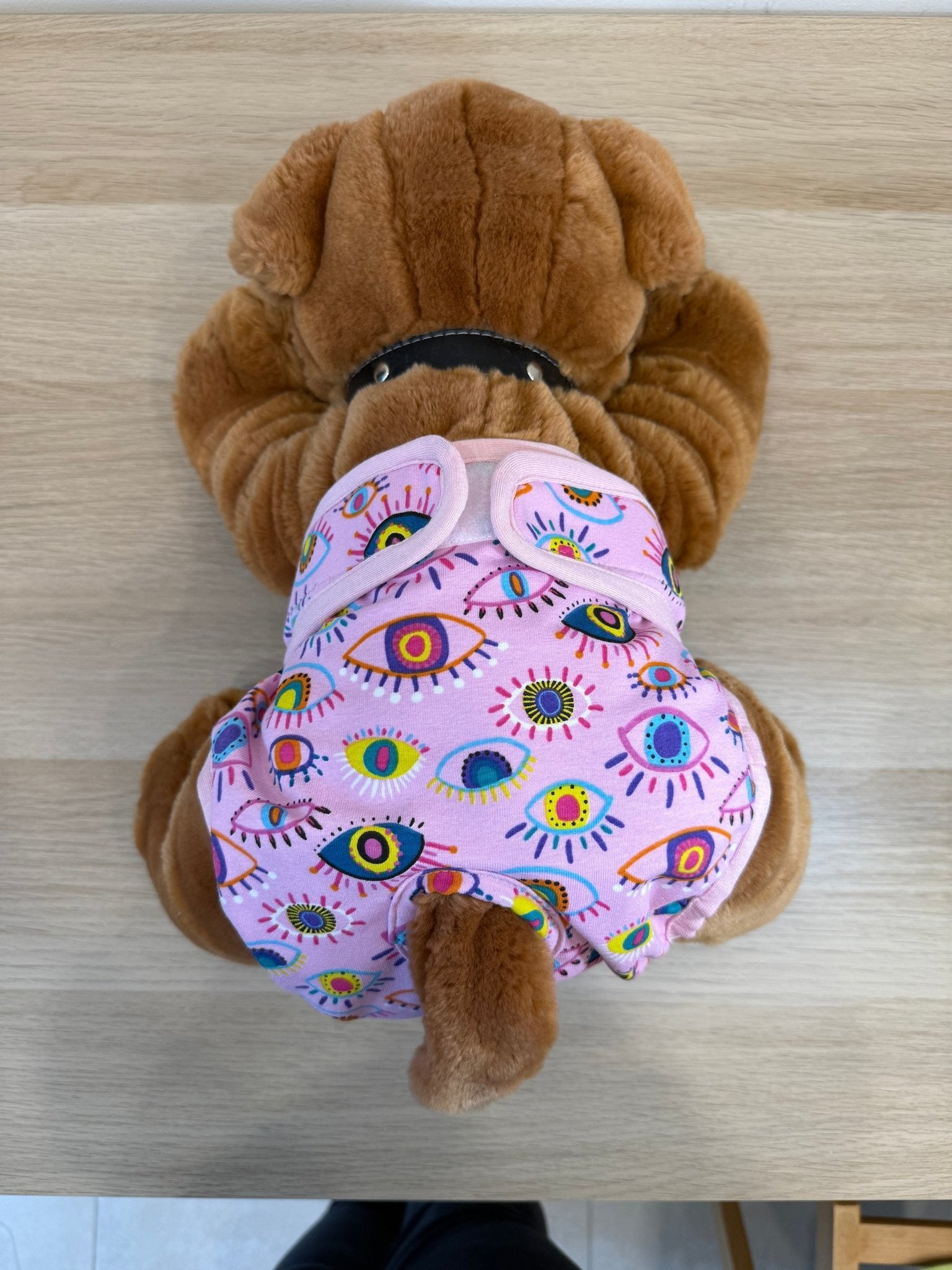 🐾 Culotte lavable et réutilisable pour chien - Miss Nuts Accessoires