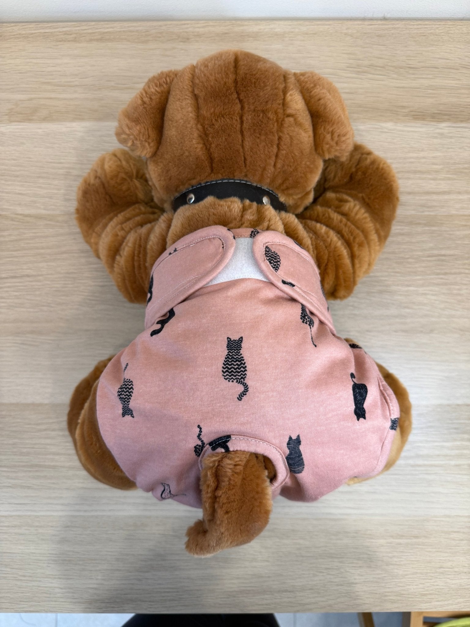 🐾 Culotte lavable et réutilisable pour chien - Miss Nuts Accessoires
