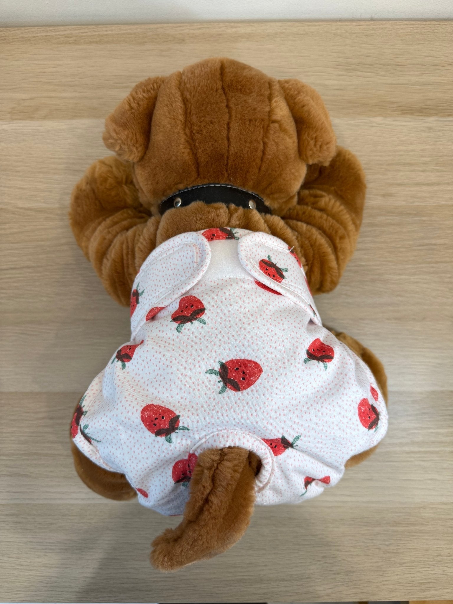 🐾 Culotte lavable pour chien – blanche imprimée fraises - Miss Nuts Accessoires