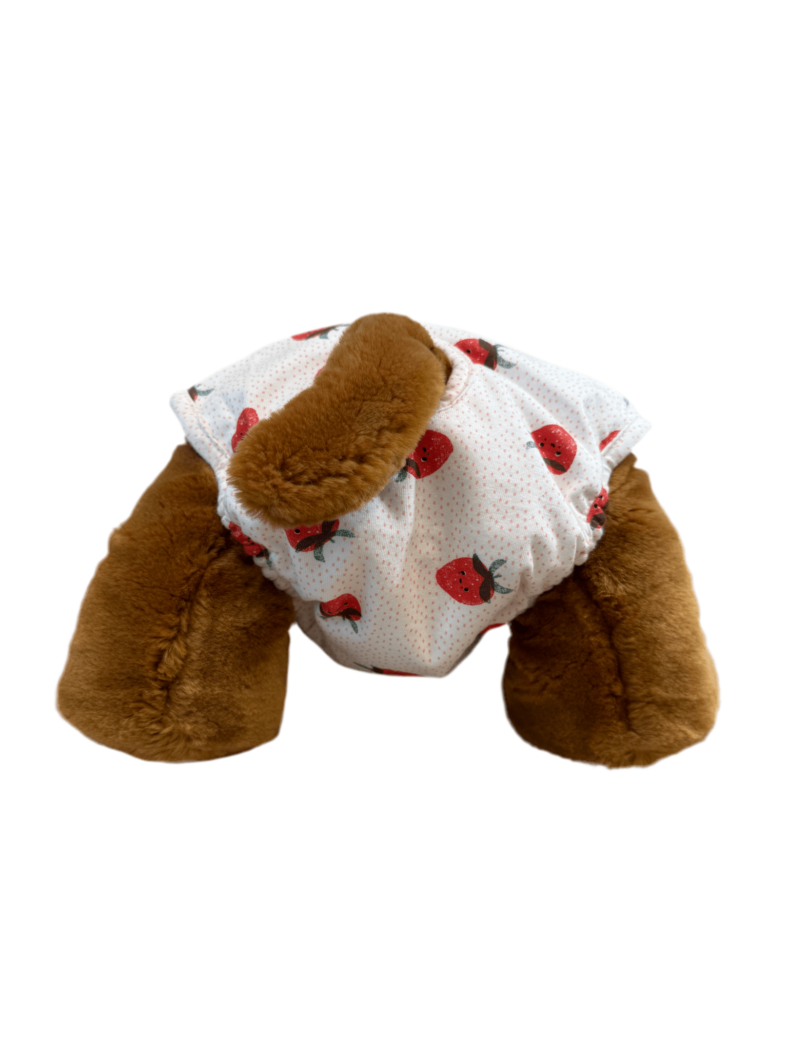 🐾 Culotte lavable pour chien – blanche imprimée fraises - Miss Nuts Accessoires