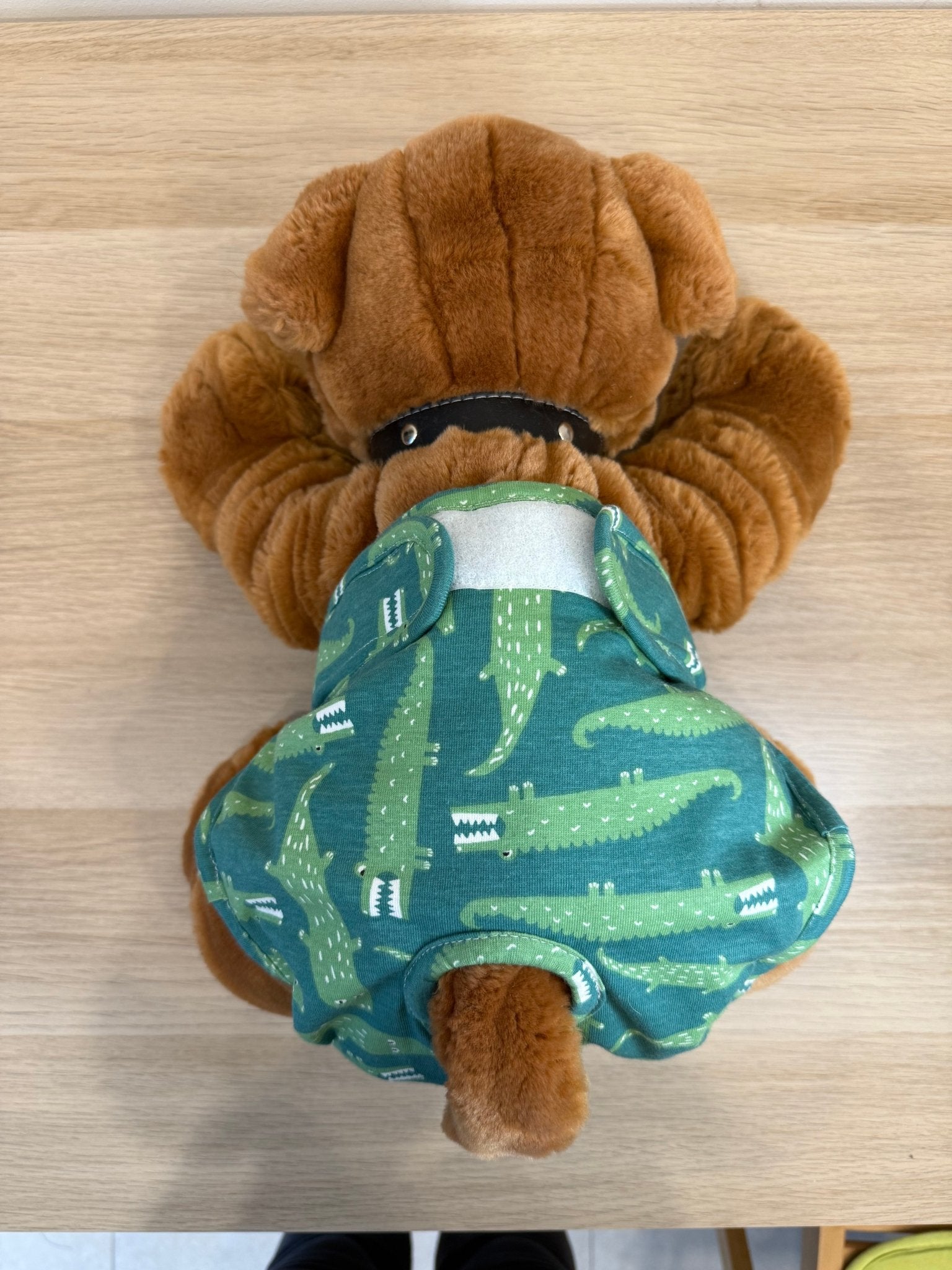 🐾 Culotte lavable pour chien – vert imprimé crocodile - Miss Nuts Accessoires
