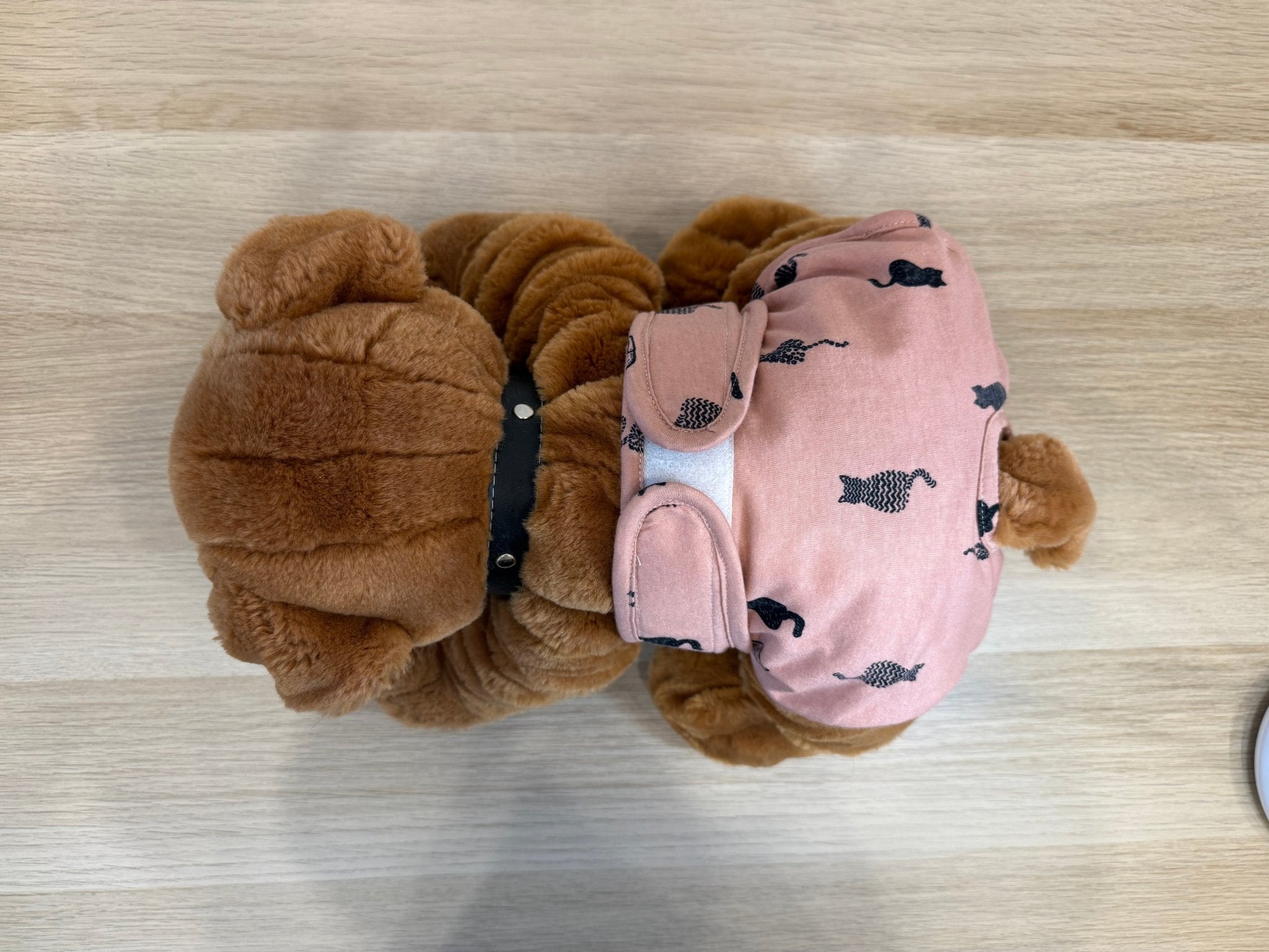 🐾 Culotte lavable pour chien – vieux rose imprimé chat - Miss Nuts Accessoires
