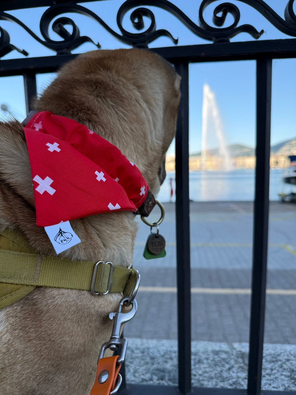Foulard pour chien Croix Suisse 🇨🇭 - 100% coton - Miss Nuts Accessoires