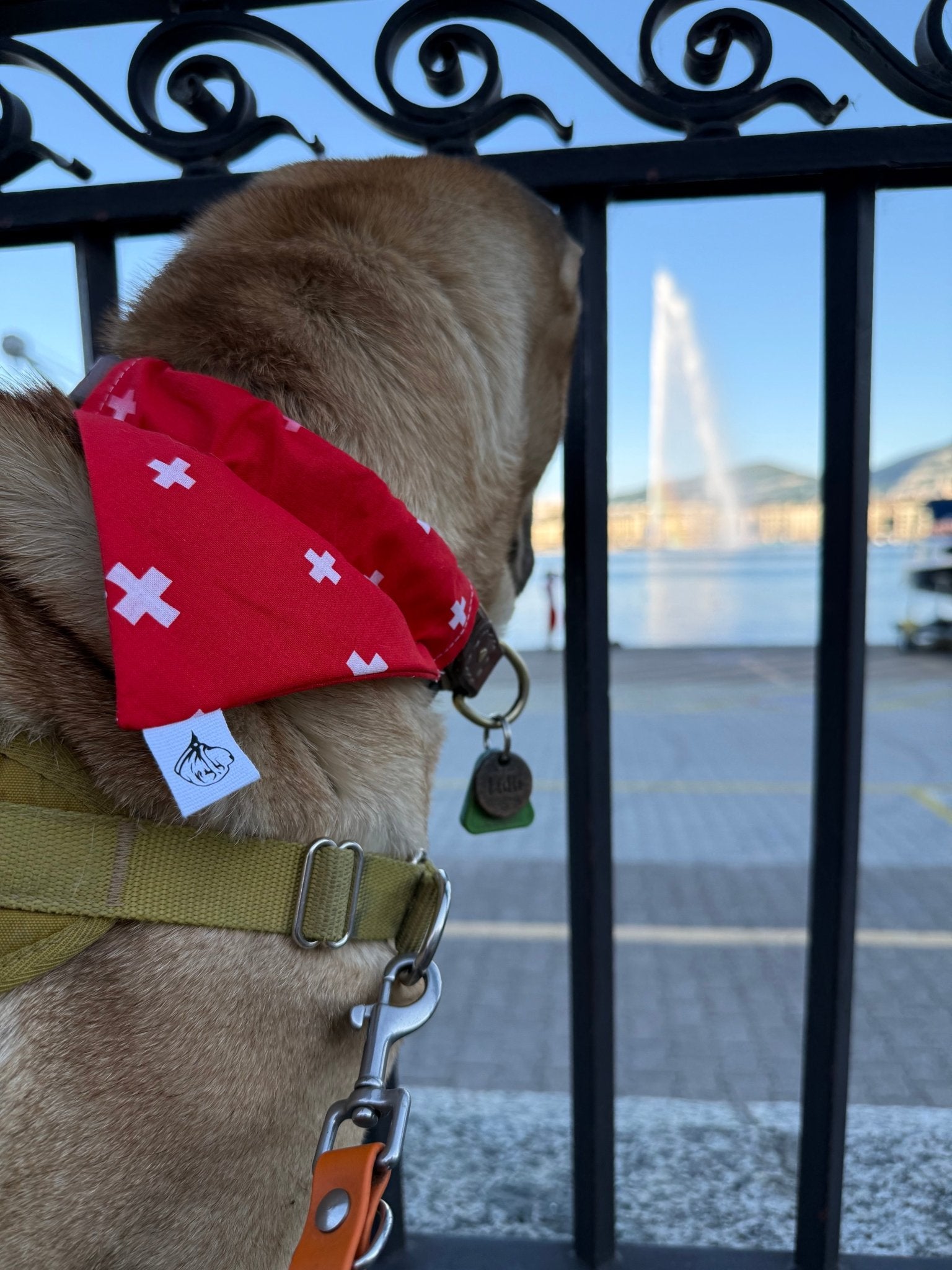 Foulard pour chien Croix Suisse 🇨🇭 - 100% coton - Miss Nuts Accessoires